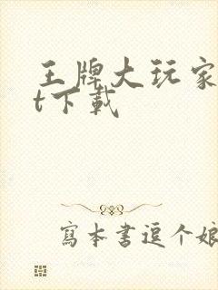 王牌大玩家txt下载