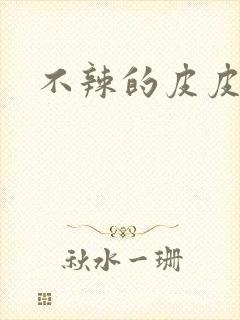 不辣的皮皮小说