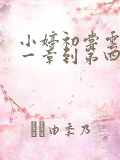 小婷初尝云雨第一章到第四章