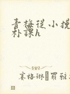 青梅从小摸到大补课h