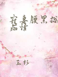 宠妻腹黑总裁太痴情