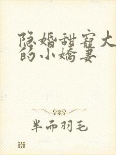 隐婚甜宠大财阀的小娇妻