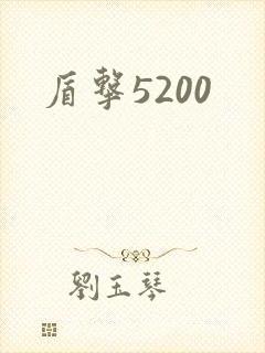 盾击5200