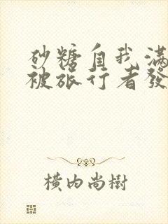 砂糖自我满足时被旅行者发现小说
