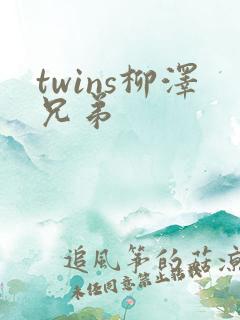 twins柳泽兄弟