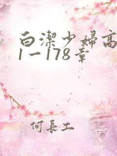 白洁少妇高义第1一178章