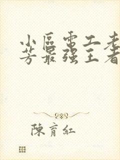 小区电工老周刘芳最强王者