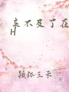 来不及了在车CH