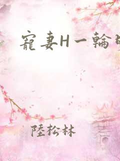 宠妻H一轮明月