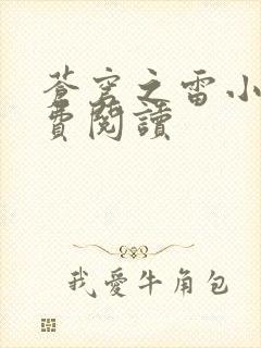 苍穹之雷小说免费阅读