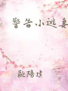 警告小逃妻