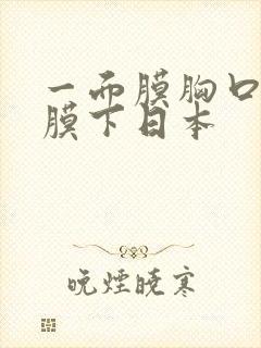 一面膜胸口一面膜下日本