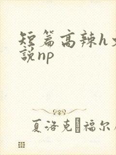 短篇高辣h文小说np