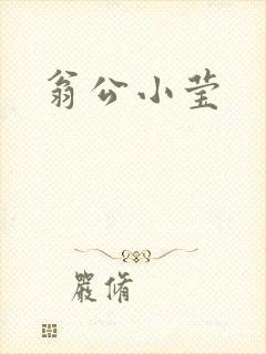 翁公小莹