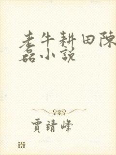 老牛耕田陈雪王磊小说