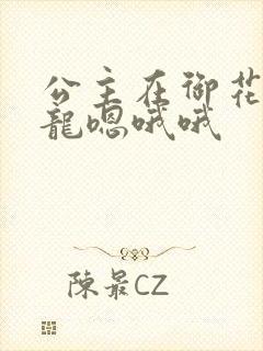 公主在御花园吃龙嗯哦哦