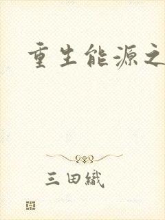重生能源之王