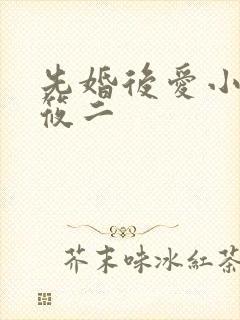 先婚后爱小说梦筱二