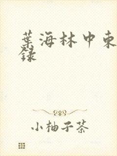 叶海林中东风云录