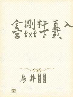 金刚杵直入莲花宫txt下载