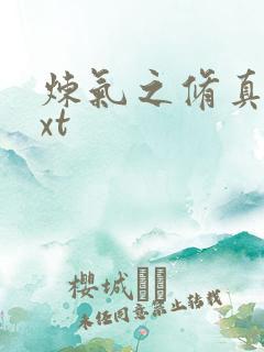 炼气之修真者txt