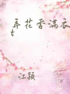 弄花香满衣txt