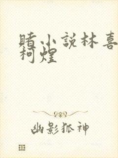 赌小说林喜朝和柯煜