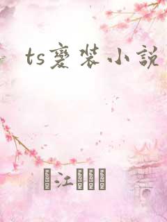 ts变装小说