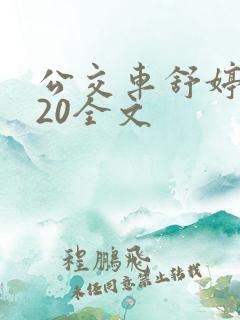 公交车舒婷1一20全文