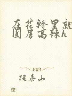 在花轿里就开始圆房高辣h