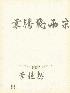 袁腾飞两宋风云