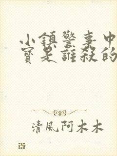 小镇警事中张镇宝是谁杀的