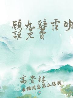 顾九辞霍明澈小说免费