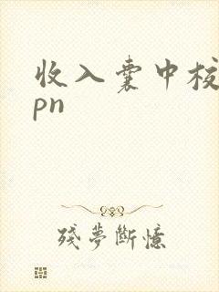 收入囊中校园hpn
