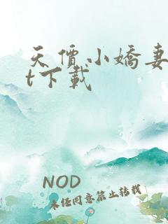 天价小娇妻txt下载