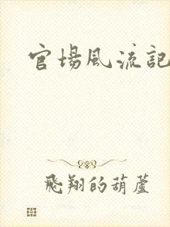 官场风流记