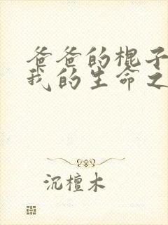 爸爸的棍子顶着我的生命之苏苗