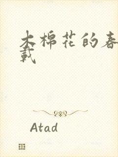 木棉花的春天下载