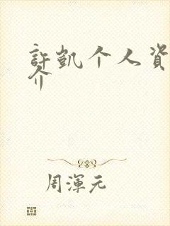 许凯个人资料简介