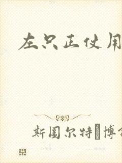 左只正仗用