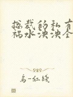 总裁的私有宝贝祸水泱泱全文阅读