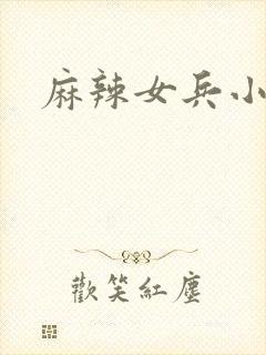 麻辣女兵小说版