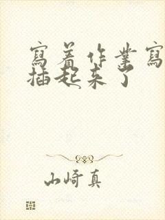 写着作业写着就插起来了