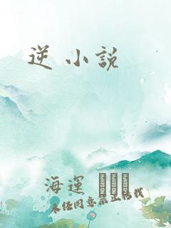 逆 小说