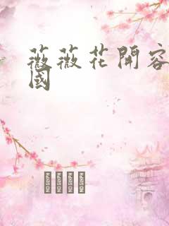 薇薇花开容颜倾国