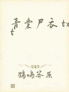 青囊尸衣 txt