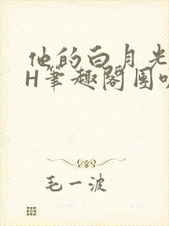 他的白月光HvH笔趣阁团叽叽