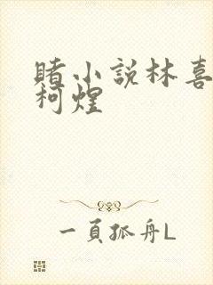 赌小说林喜朝和柯煜