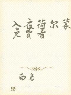 入夜荷尔蒙电影免费看