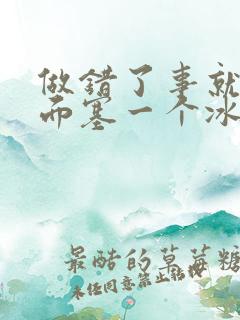 做错了事就往下面塞一个冰球作文